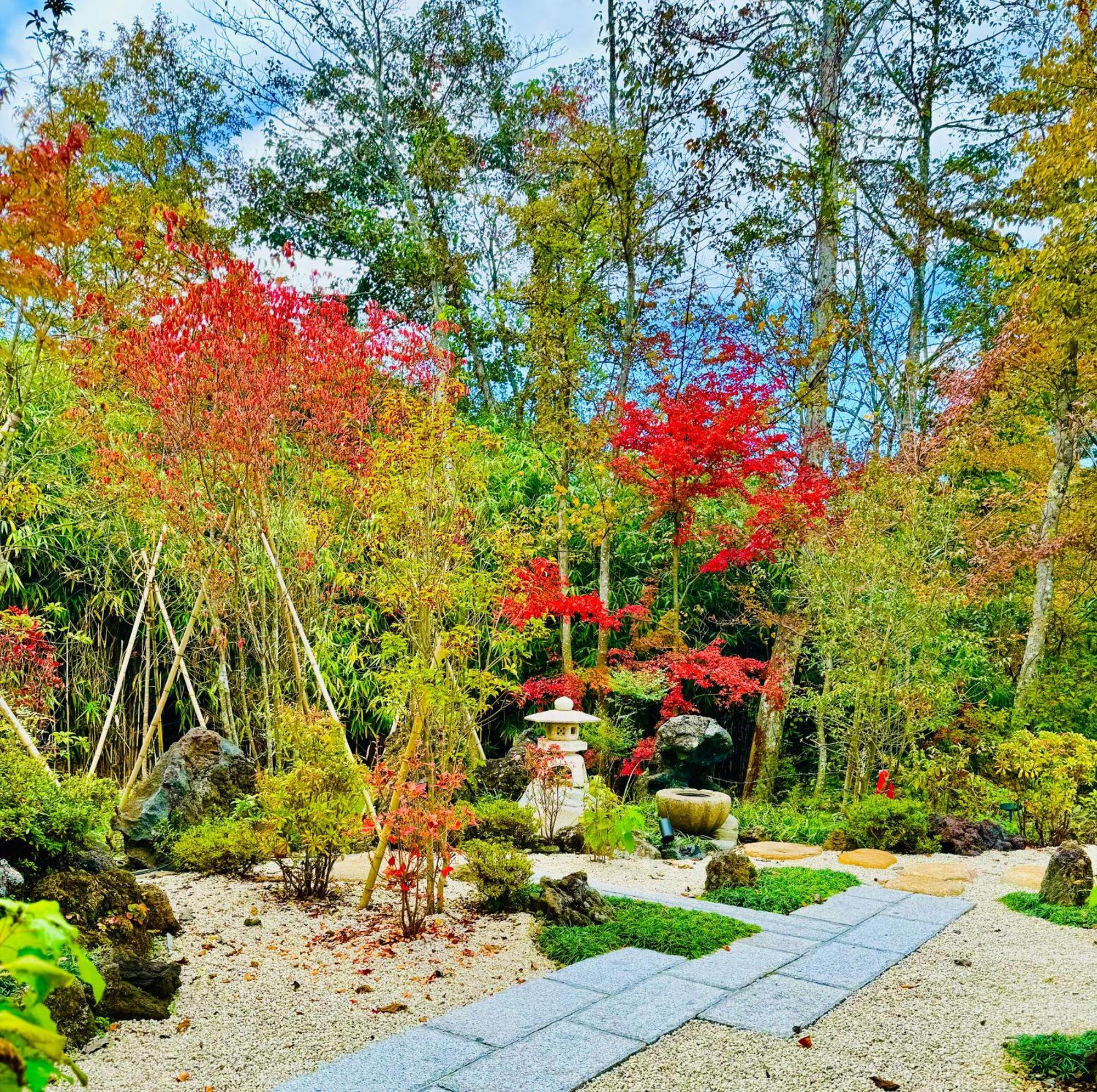 Private Villa Ietona ฟูจิคาวากุจิโกะ ภายนอก รูปภาพ