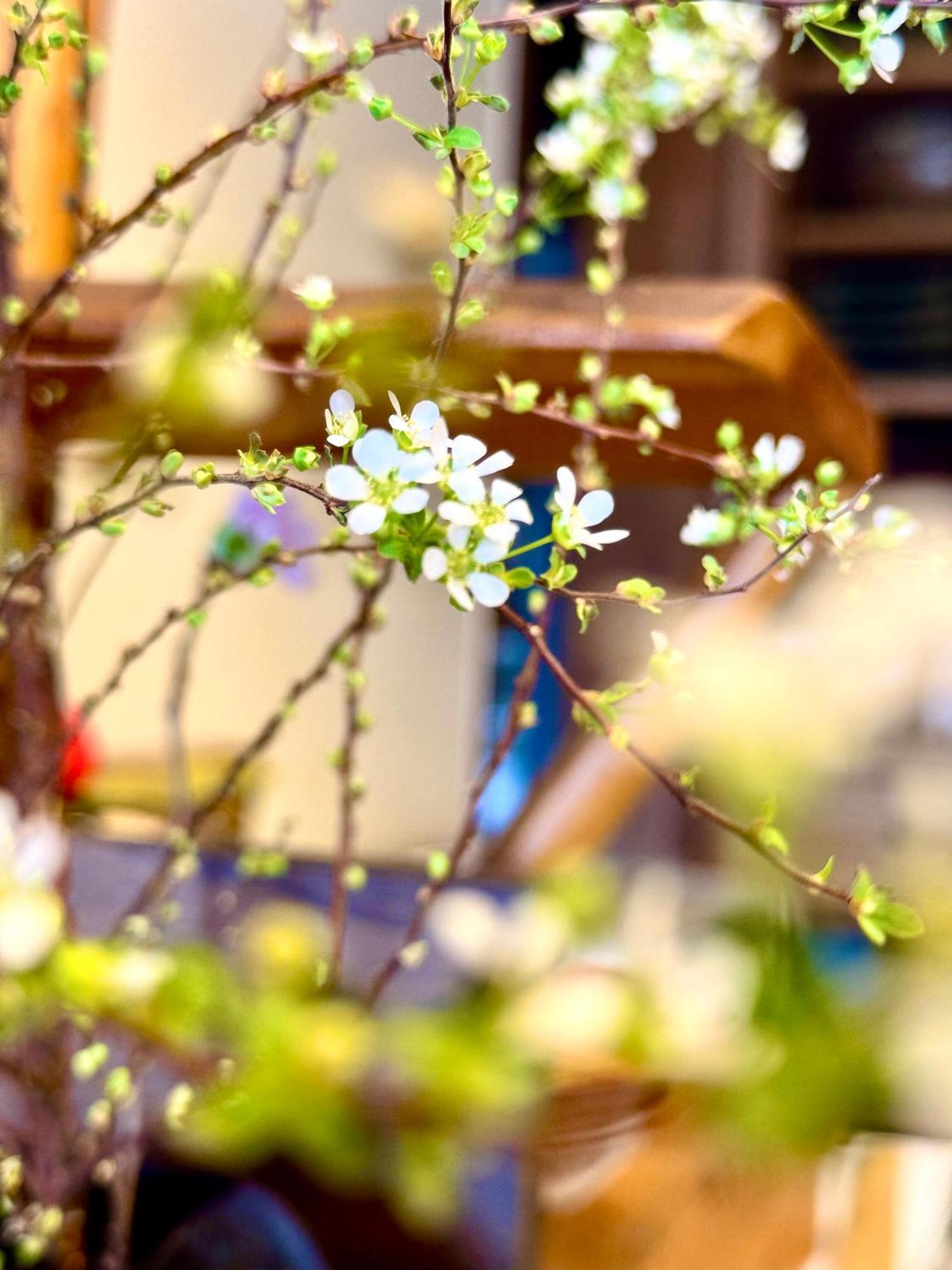 Private Villa Ietona ฟูจิคาวากุจิโกะ ภายนอก รูปภาพ
